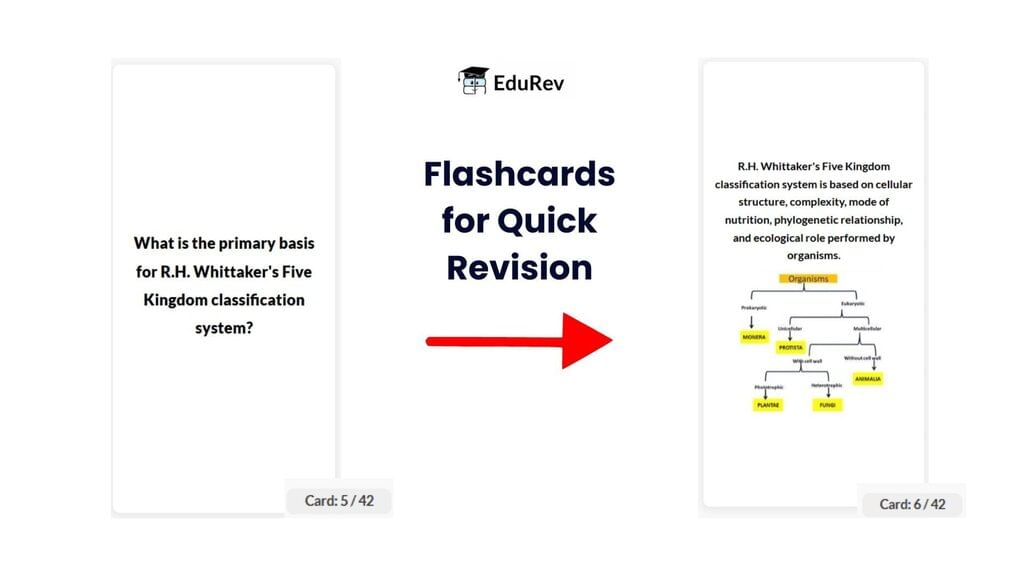 What do you get under EduRev Infinity Package for NEET? | Physics Class 11