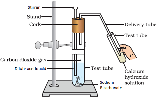 Some Important Carbon Compounds – Ethanol And Ethanoic Acid | Science Class 10