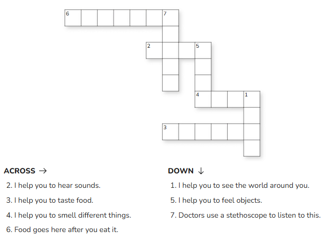 Our Body - CBSE Worksheets- 1