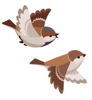 Worksheet Solutions: Animals are Birds too | EVS for Class 1