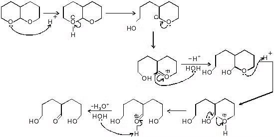 Nucleophilic Substitution, Elimination Reactions & Polyhalogen Compounds | Chemistry Class 12 - NEET