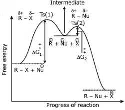 Nucleophilic Substitution, Elimination Reactions & Polyhalogen Compounds | Chemistry Class 12 - NEET