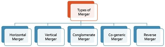 Enterprise Growth Strategies: Notes | Entrepreneurship Class 12 - Commerce