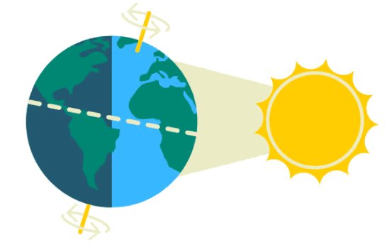 World Around Me | Worksheets with solutions for Class 2