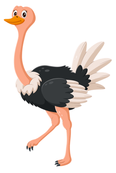 Worksheet Solutions: Animals are Birds too | EVS for Class 1