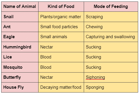 Various Modes of Feeding