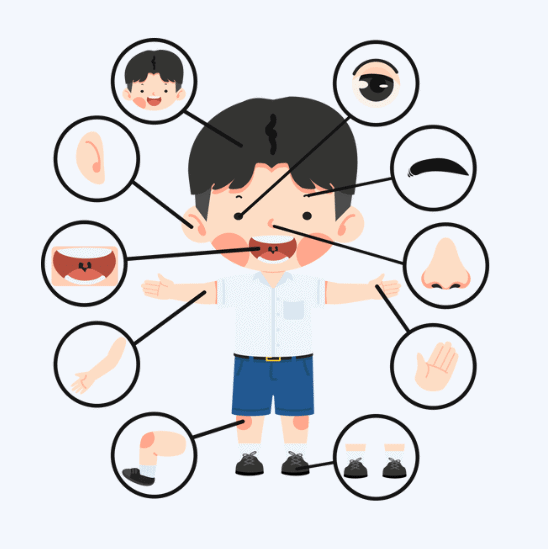 Our Body - CBSE Worksheets- 2 Solutions