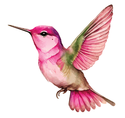 Worksheet: Animals are Birds too | EVS for Class 1