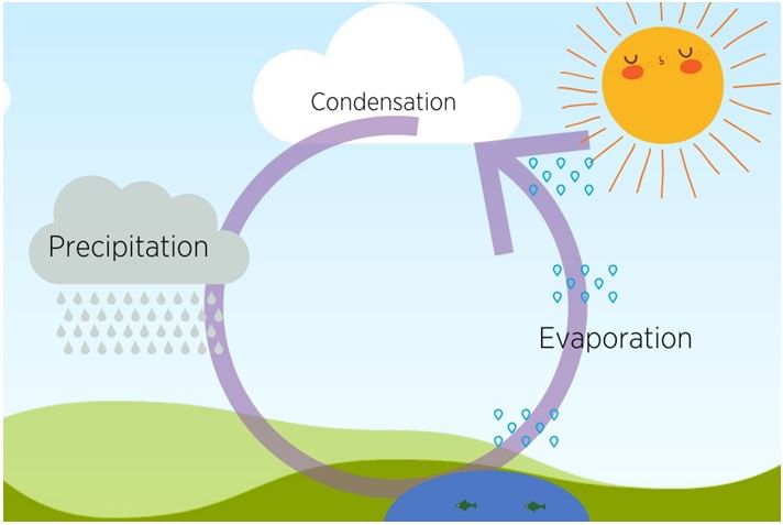 Evaporation & Condensation through the Water Cycle