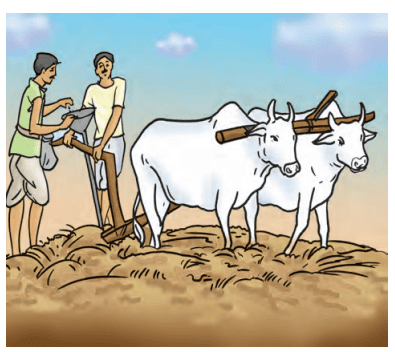Crop Production and Management Class 8 Notes Science Chapter 1