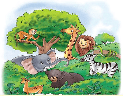 Animals Around Us Class 1 Notes EVS