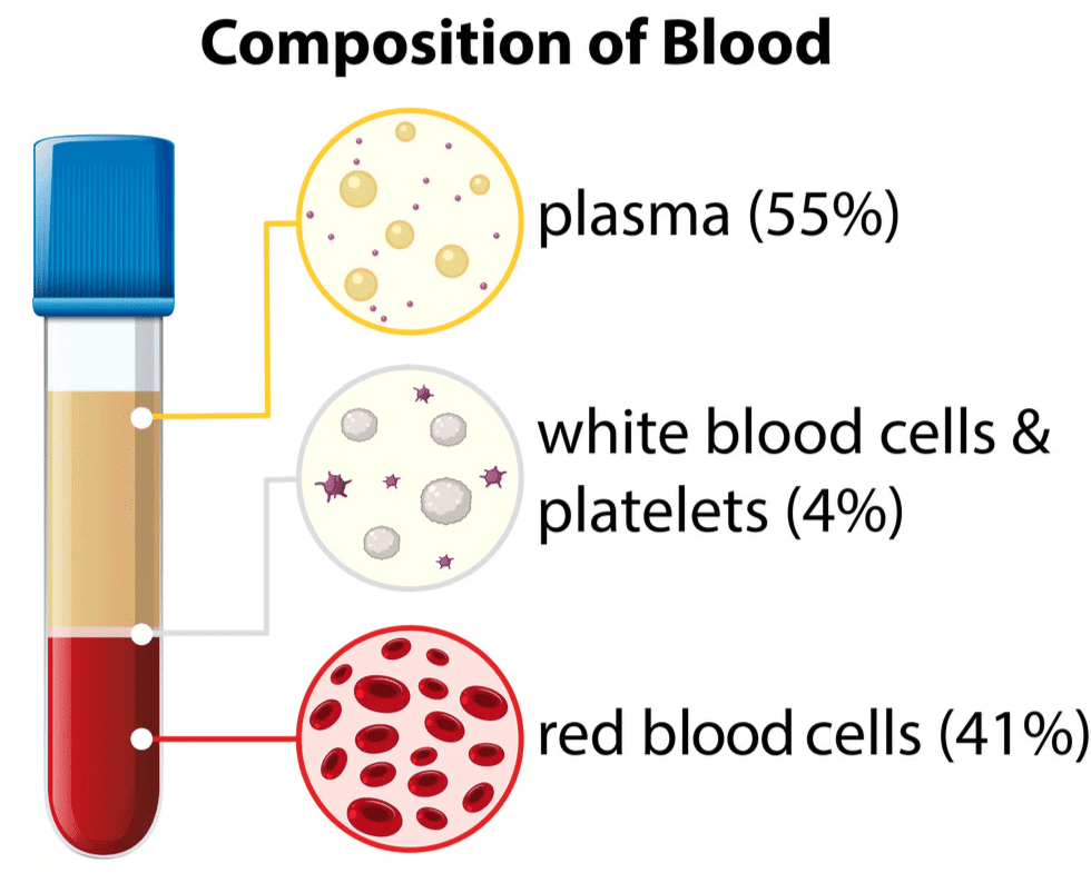 Components of Blood