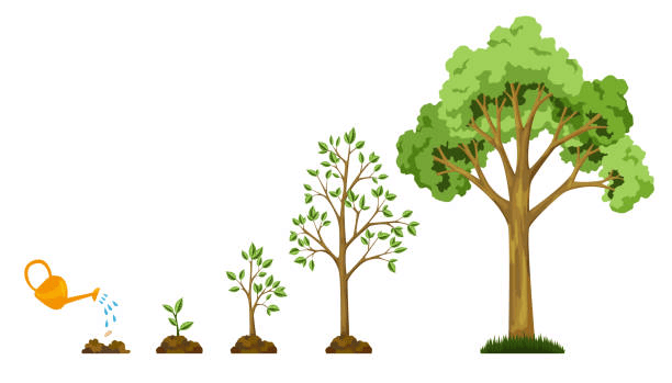 Class 9 Beehive Poem Chapter 7 Important Question Answers - On Killing a Tree