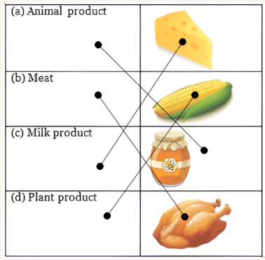 Food we Eat - 1 Class 1 Worksheet EVS