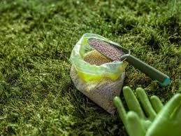 Environment and Ecology: May 2024 UPSC Current Affairs | Current Affairs & Hindu Analysis: Daily, Weekly & Monthly