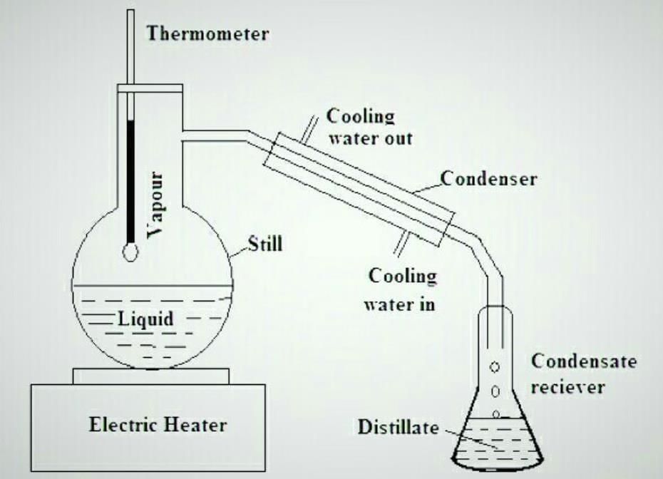 Class 8 Science: Sample Paper Solutions - 5 | Sample Papers For Class 8