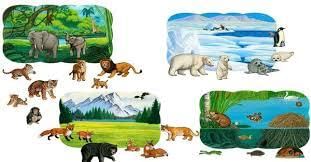 Living Organisms and Their Surroundings Chapter Notes | Basic Science for JSS 2