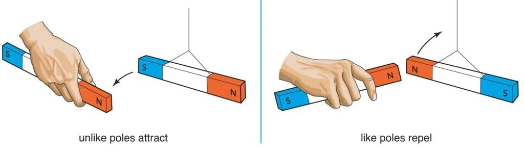 MCQ and Extra Questions - Exploring Forces | Science Curiosity Class 8 -  New NCERT