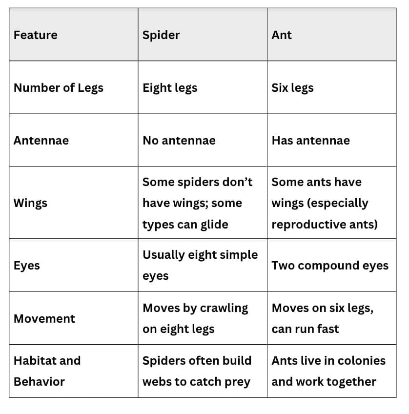 NCERT Solutions for Class 7 English Unit 1 Try Again