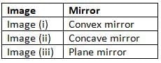 Light: Mirrors and Lenses NCERT Solutions | Science Curiosity Class 8 -  New NCERT