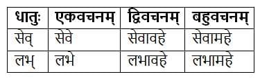 धातुरूपाणि Chapter Notes | Chapter Notes For Class 8