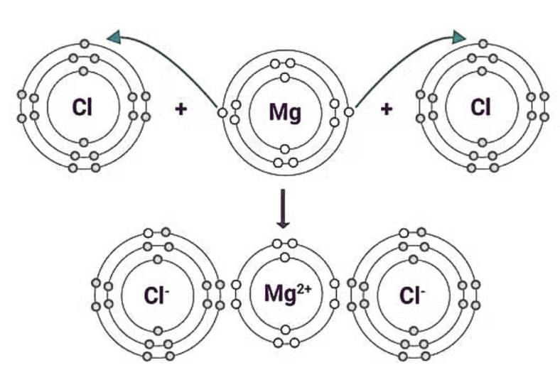 Important Diagrams: Metals & Non-Metals | Science Class 10