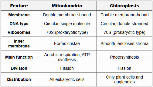 9.1 Semi-Autonomous Organelles Comparison