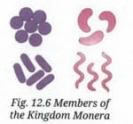 Activity 12.4: Let us explore