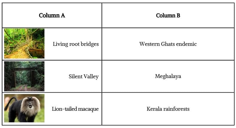 Unit Test (Solutions): Some Unique Places | Our Wondrous World  Class 5 - New NCERT