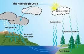 Water Resources - 2 Class 4 Worksheet SST