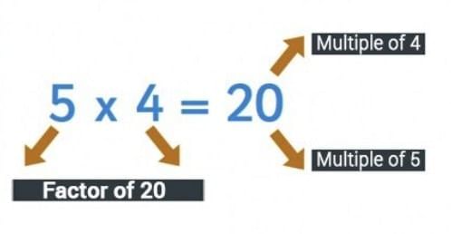 Important Formulas: Animal Jumps | Mathematics (Maths Mela) Class 5 - New NCERT
