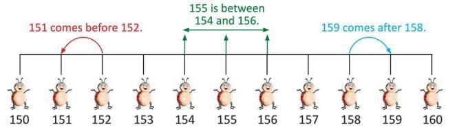 Numbers 100 to 200 Chapter Notes | General Mathematics for Primary 2