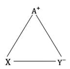 MCQs`: Blood Relations