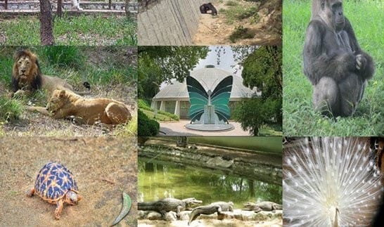 Bannerghatta National Park