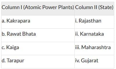 Class 10 Geography Chapter 5 Previous Year Questions - Minerals and Energy Resources