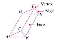 Three-dimensional Shapes Chapter Notes | Mathematics Class 6 ICSE