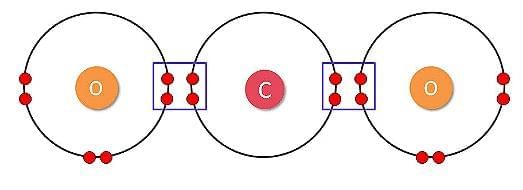 Carbon Compounds Chapter Notes | Earth and Environmental Science for Year 12