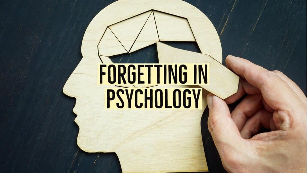 Nature and Causes of Forgetting