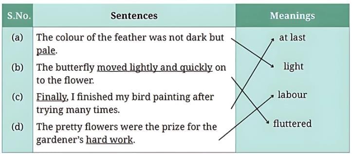 What a Bird Thought NCERT Solutions | English for Class 6
