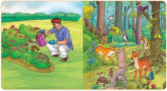 Our Vibrant Country Chapter Notes | Our Wondrous World  Class 5 - New NCERT