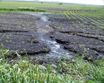 Revision Notes: Soils in India | Geography Class 10 ICSE