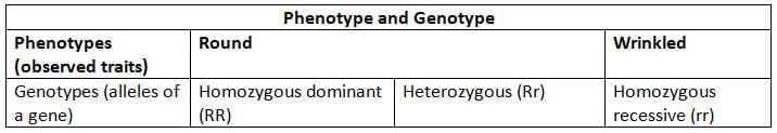 Inheritance Chapter Notes | Science for Grade 6