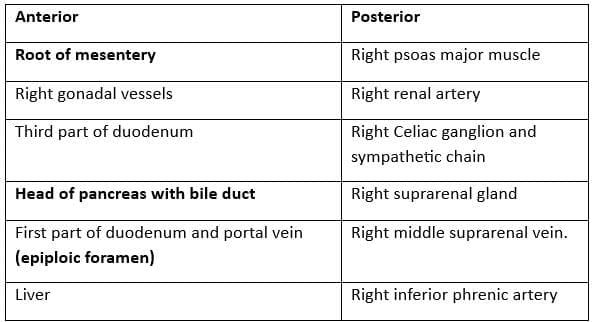 Relations of the Inferior Vena Cava (IVC)