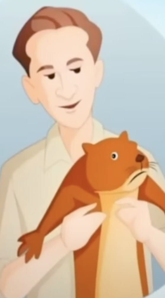 NCERT Solutions for Class 10 English Chapter 6 - Mijbil the Otter