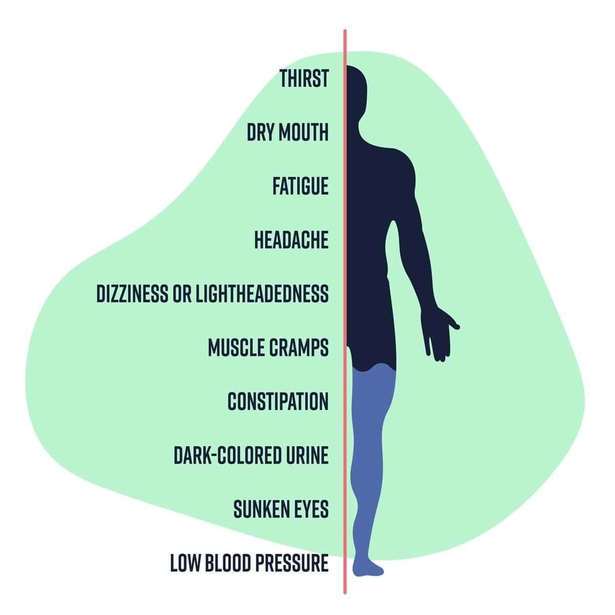 Health: The Ultimate Treasure Chapter Notes | Science Curiosity Class 8 -  New NCERT