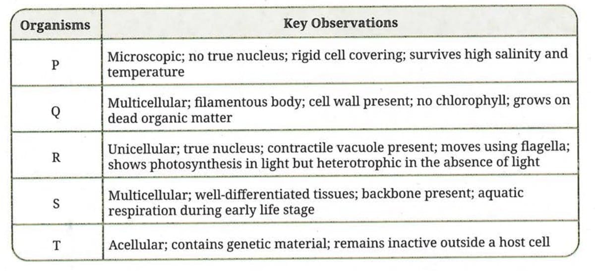 ​Revise, Reflect, Refine