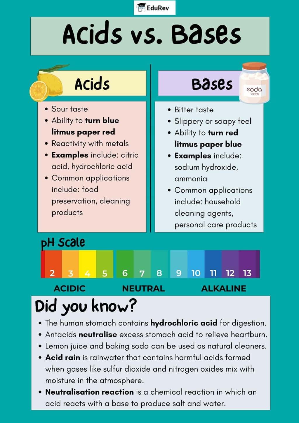 Class 7 Science Chapter 2 Infographics - Acids, Base and Salts