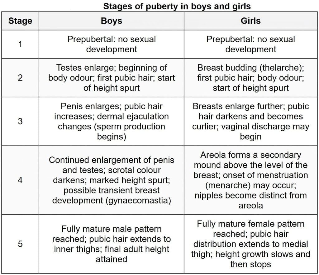 Puberty Chapter Notes - Nursing Midwifery and Gynecological Nursing ...