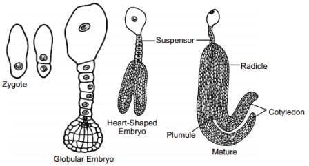 Long Answer Type Questions (5 Marks)