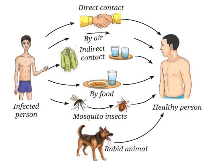 Common methods of transmission of diseases